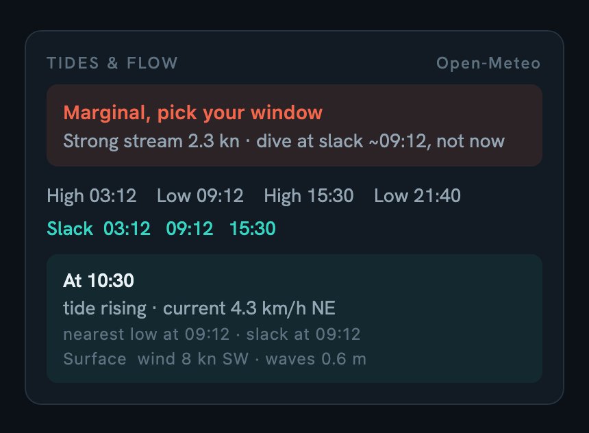 The tide reading on Plus: modelled Open-Meteo data, marginal at 10:30 with a strong 2.3 knot stream, and slack windows rounded to about 09:12
