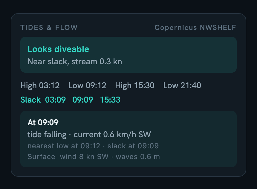 The same site on Pro: high-resolution Copernicus stream data, slack pinned to 09:09, and a diveable read at a gentle 0.3 knot stream